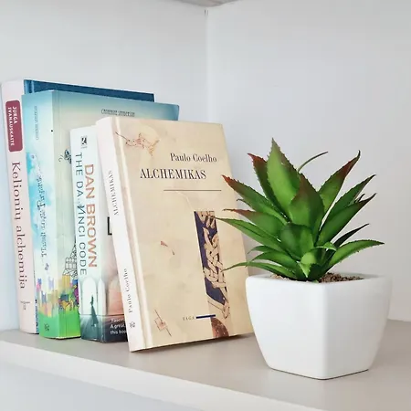 Melodija In Center Друскининкай