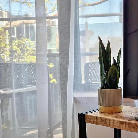 Melodija In Center *